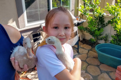 BrooklynDucks2